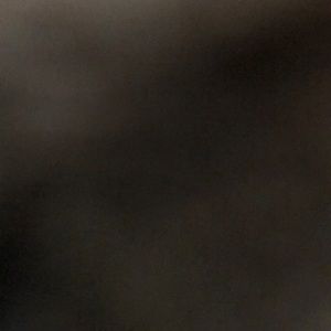 Meet your Posher, Tamia